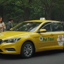 대구 펫 택시 | 🚖 부산 펫택시(Pet taxi) 반려동물과 함께하는 장거리 시외 이동, 이제는 더 이상 고민하지 마세요