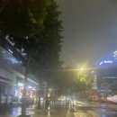 삼일전집 이미지
