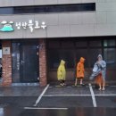 시온청과 이미지