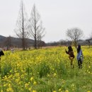 황룡강친수공원 이미지