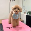 용화동 용화로 이미지