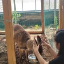 우리농장 | 아이랑 키즈카페 그만~ 동물 직접 만지는 체험 우리 농장🐰 솔직 후기-양주, 포천, 의정부 가까운 농장!