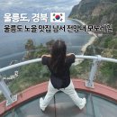우산국 | 남서일몰전망대 모노레일 가격 할인 우산국 박물관 울릉도 가볼만한 곳