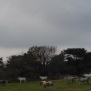 유수농산 이미지