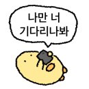 뚱딴지여행 네이버블로그