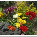 서경행정사사무소 이미지