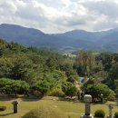 거함대로 이미지