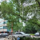 왕산로19길 이미지