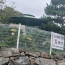 스테이 도트 이미지