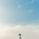 영덕특산물 이미지