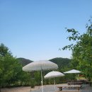 도로시민박 이미지