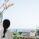 소금맨션 이미지