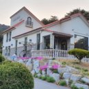 강릉아기동물농장 이미지