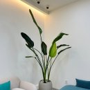 신시메디의원 이미지