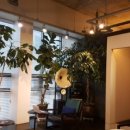 좋은사람치과의원 이미지