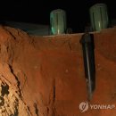 김갑수농장 이미지