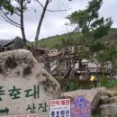 풍호대산장 Daum카페