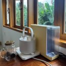 제일여관 | [제주 동쪽 숙소] 제주도 조천읍 감성 독채펜션 &#39;점봉여관&#39; B동 내돈내산 후기(야외 자쿠지, 귤밭뷰)