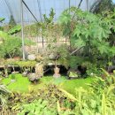 초원농장 이미지