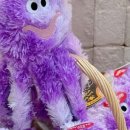 헤이도그 이미지