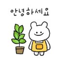 오롯이 스테이 인 양구 이미지