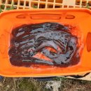 우지낚시터 이미지