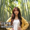 교토 아라시야마 치쿠린 가는법 대나무숲 봄 여행 후기