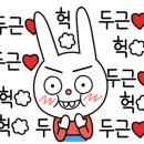 가람애견미용샵 이미지