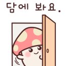기흥전자담배추추베이프