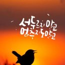 주식회사 백야 이미지