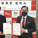 아울