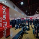 시드니 휘트니스 이미지