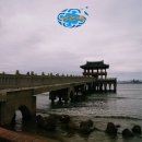 비데랜드 이미지