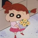 플라워시호 이미지