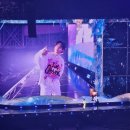 어떻게 사람 피가 분홍색 ? 브리즈들과 함께한 위즈니의 슴콘 후기