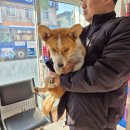 인월동물병원 이미지