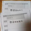 20240725(목)불꽃. 들깨순. 가지. 치커리. 호박꽃. 말릴거리(가지, 여주). 영농일지완성. 불꽃. 청로메인. 7월백업. 부항. 이미지