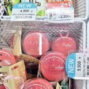 GS25 오산리치점 | GS25 신상 소르베아이스크림 리치, 실물영접 후기