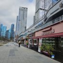 메조 스테이 이미지