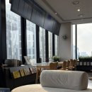 세안안과의원 | 강남 이오스안과 투데이라섹 수술 후기 | 통증, 수술 과정, 회복기간 총정리