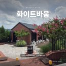 에버랜드 근처 대형 베이커리 카페, 화이트바움 방문 후기