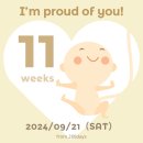 임신11주0일~14주0일) 입덧의 최고조(물,우유,치즈,김치 접근금지!!)에서 입덧사라지는 시기, 1차기형아...