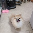 김포24시힐동물의료센터 이미지