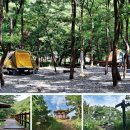 [휴양림 미니멀캠핑 & 산행 코스가이드 | 충남 보령 성주산자연휴양림 & 만수산] 이미지