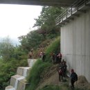 춘천조양초등학교 이미지