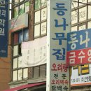 등나무집 Daum카페