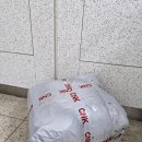 중프리콧 뉴 토곰 패딩 양품 수령 후기(배송기간, 사이즈)
