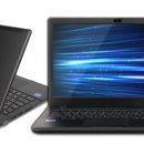 늑대와 여우 이미지