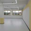 하이랑 애견유치원 이미지