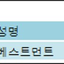 시아인베스트먼트